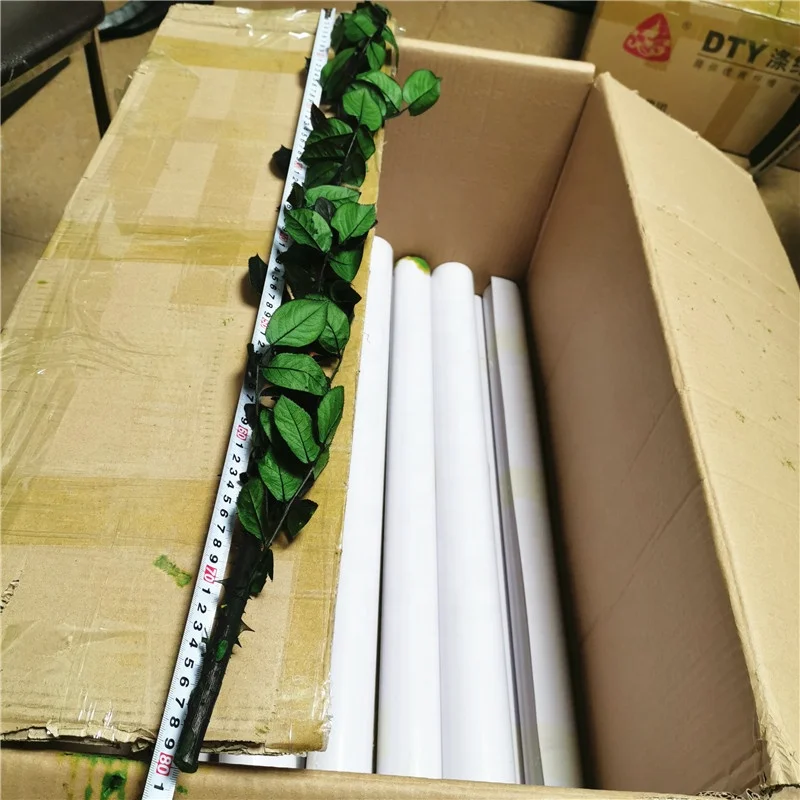 Best quality preserved rose stem 70cm long lasting rose stem real rose stem wholesale