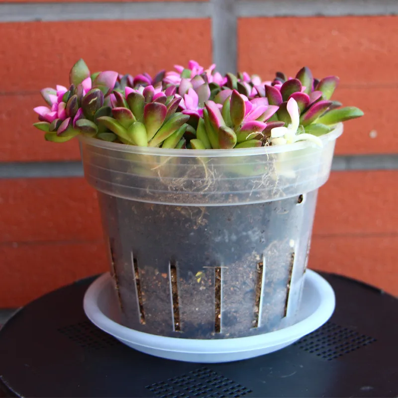 Hot Selling Durable Garden Planter Pot Clear Orchid Pots With Holes Pot Plastic Orchids