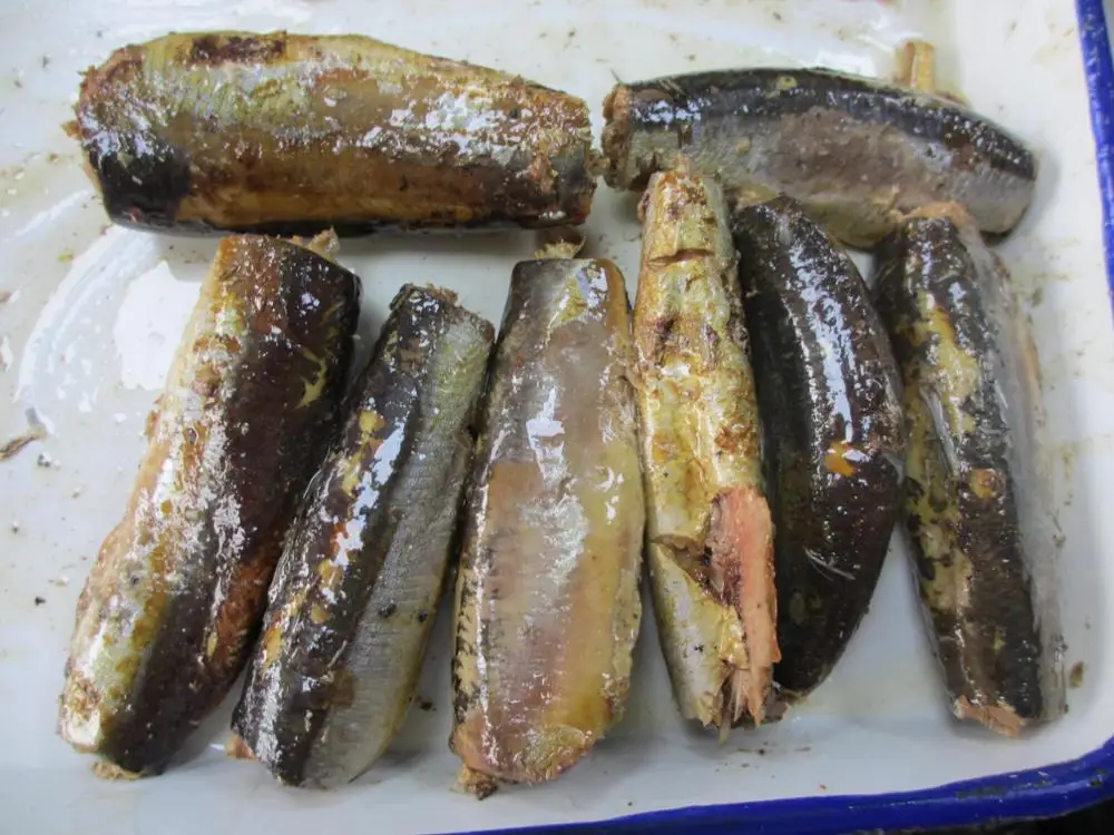 
Oval Club Can Size Canned Sardine In Vegetable Oil 50X125g 