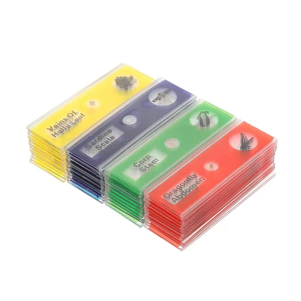 Kids Plastic Prepared Microscope Slides Animals Insects Plants Specimens Slides for Kids Students