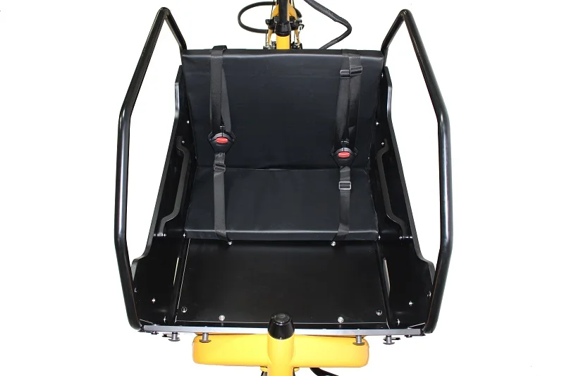 2 Wheel Electric Cargo Bike with Cargo Wood & Steel Box Steel Frame Wooden Metal Box for Family Use Popular