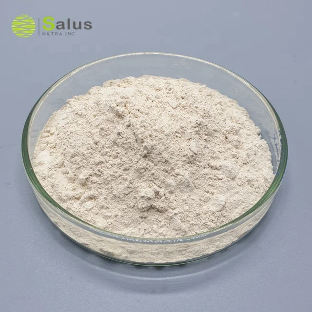 Factory Wholesale Hydroxycitric Acid 65% Garcinia Cambogia Extract Powder
