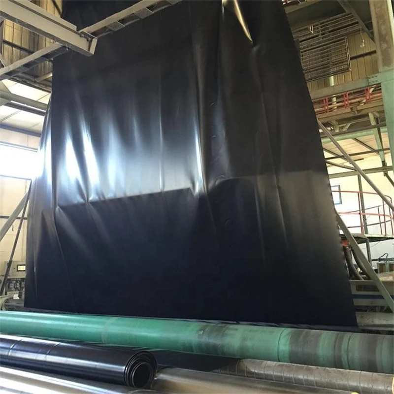 Fish Pond Liner High Quality Reinforced and Texture Hdpe Waterproof Geomembrane 4m/6m Plastic 15mm Plastic Fish Pond Liner