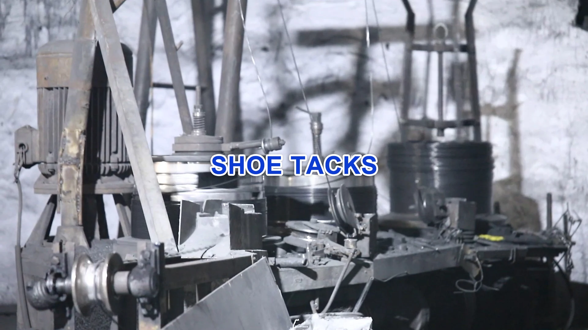 Black Shoe tack for heel Factory price high quality Hot selling five star shoe tacks nails