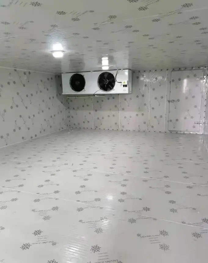 New type freezer cool room cold room project refrigeration unit big room cold storage system