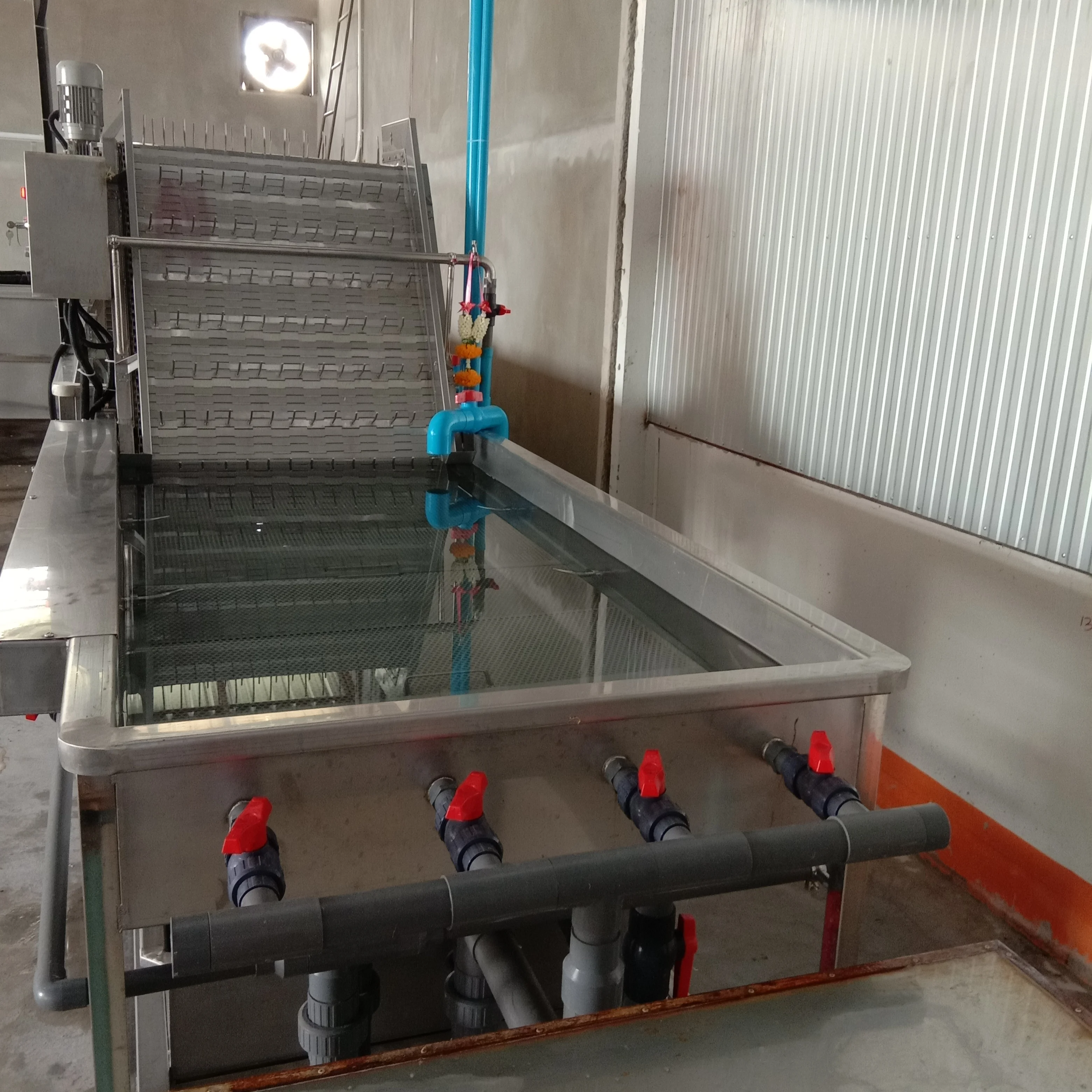 mungbean sprouts washing machine bean sprout cleaning machine bean sprout shelling machine