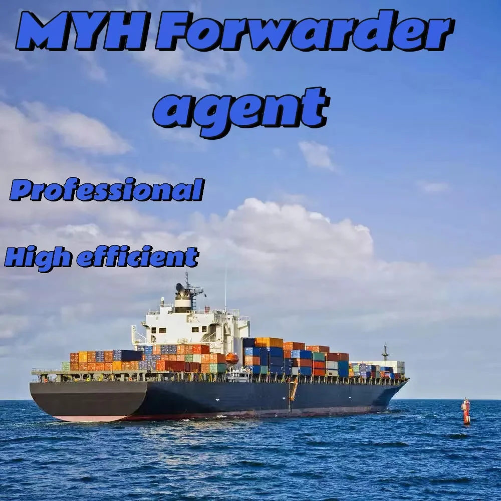 Cheapest Ddp Door to Door Express Customs Clearance Services Sea Shipping Agent Freight Forwarder from China to Usa