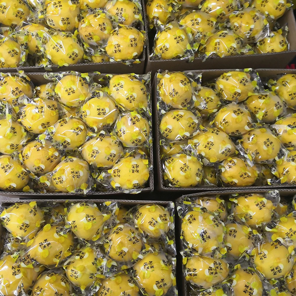 Eureka Lemon Fresh Fruit China  Price
