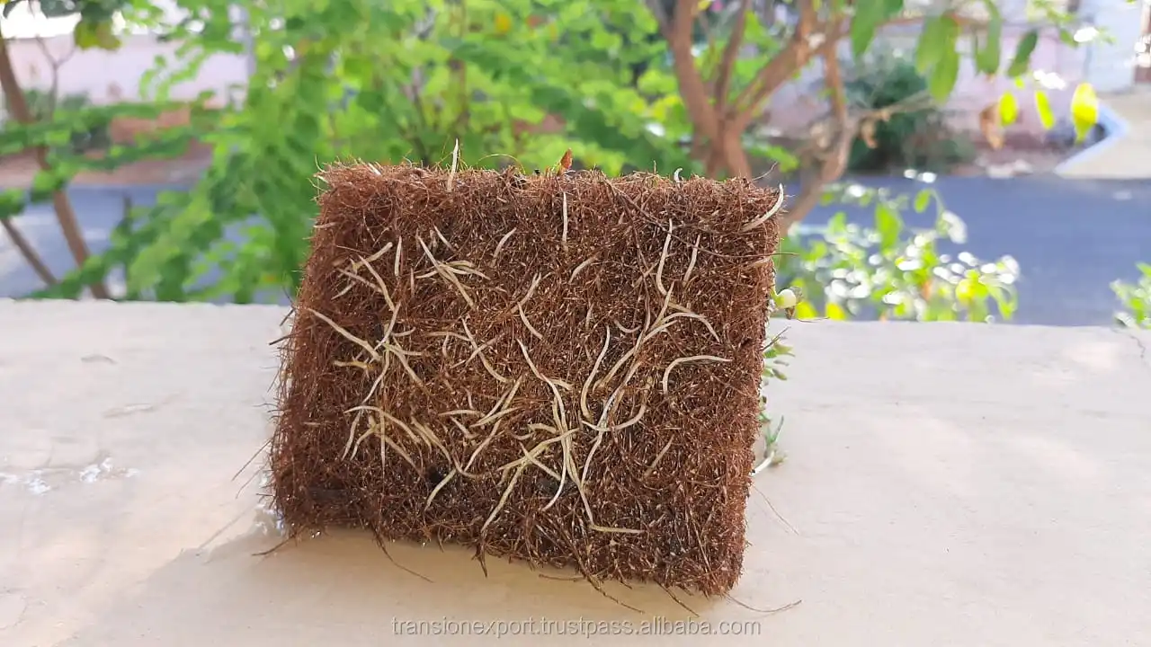 Hydroponic Pre Cut Coir Seed Growing Pads