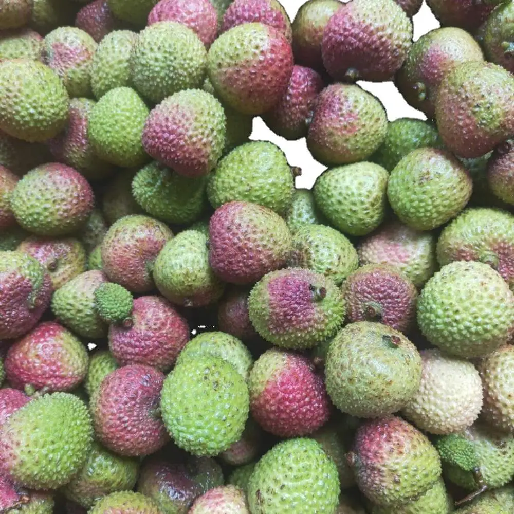 
Fresh Lychee for saling 