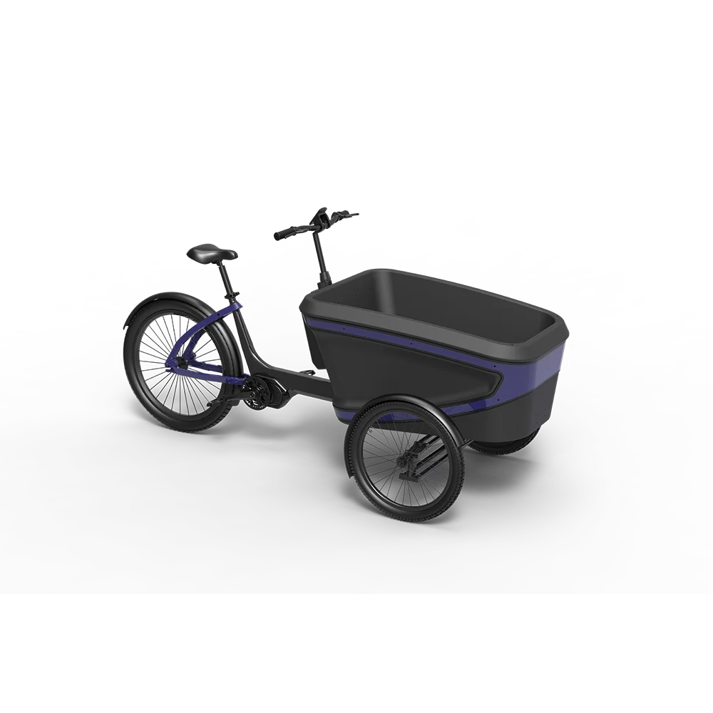 electric bike 3 wheels cargo electric ebike e-cargo family e bicycle epp foam box for adults carry children and baby