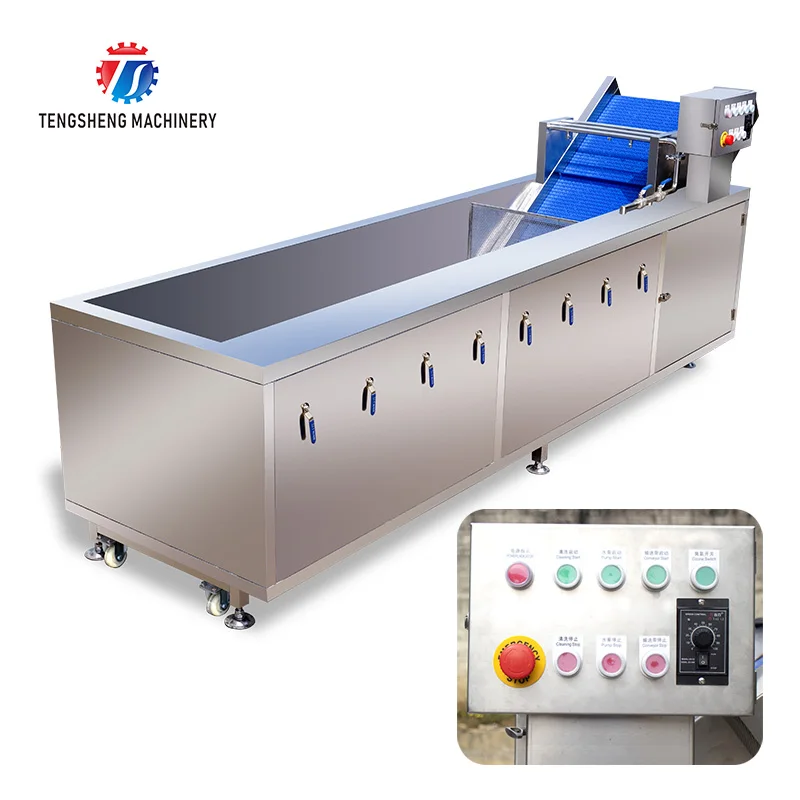 Large-scale leaf vegetables cleaning machine multifunctional fruit vegetable cleaner automatic citrus fruit washing machine