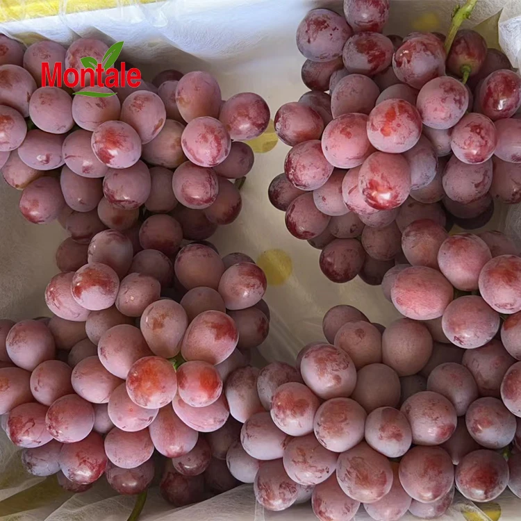 Chinese Factory Price Top Quality Fresh Red Grapes Supply