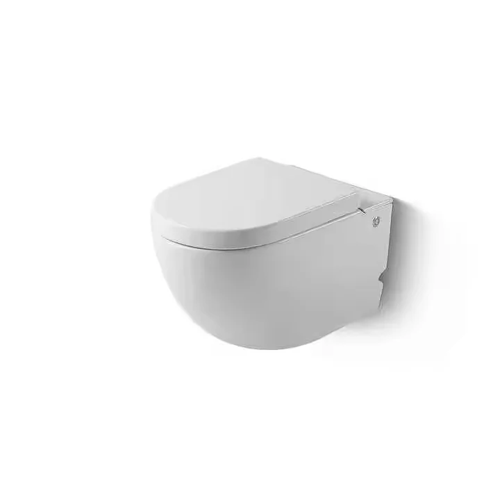 White Glazed Ceramic Wall Mounted Tankless Wholesale Ceramic Toilets Bathroom Sanitary Ware Ceramic Washdown Toilet