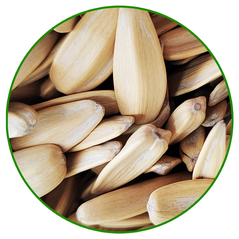 China Manufacture Wholesale Quality Roasted White Sunflower Seeds For Sale