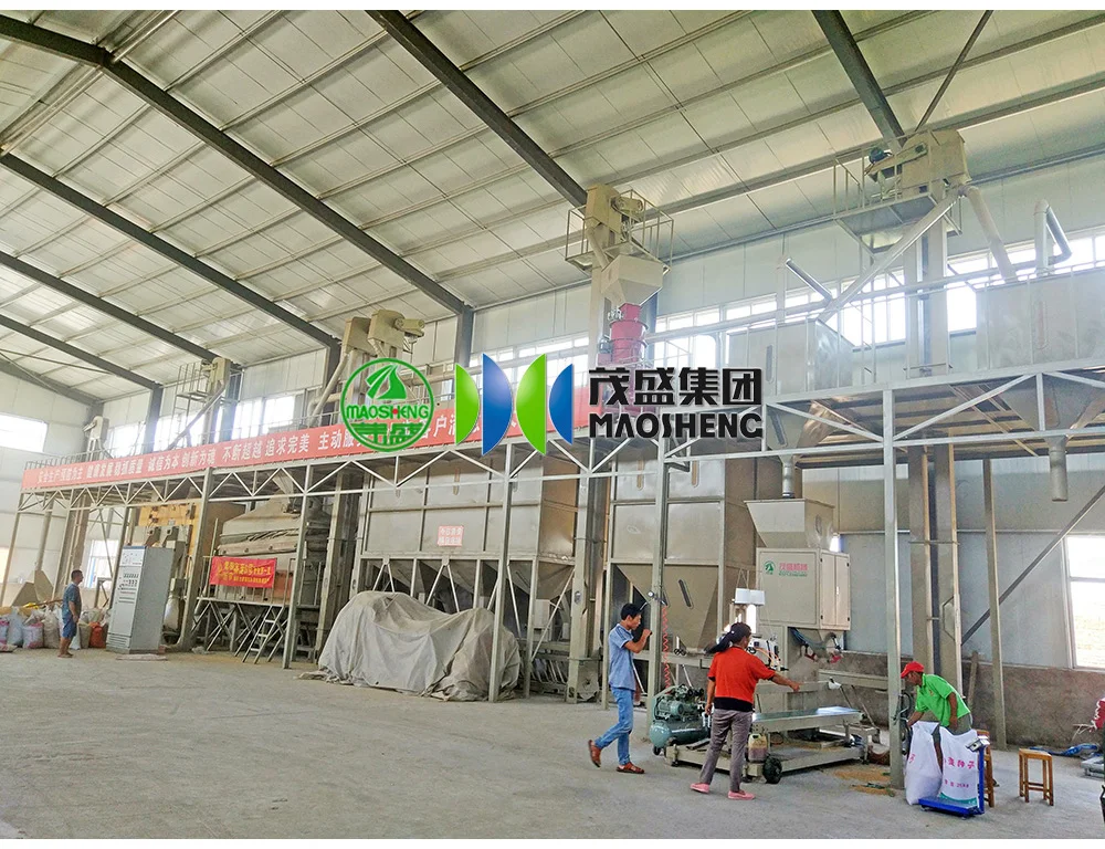 Seed Processing Machine Complete Sorghum Soybean Corn Wheat Rice Seed Cleaning and Processing Plant Rice Destoner Machine