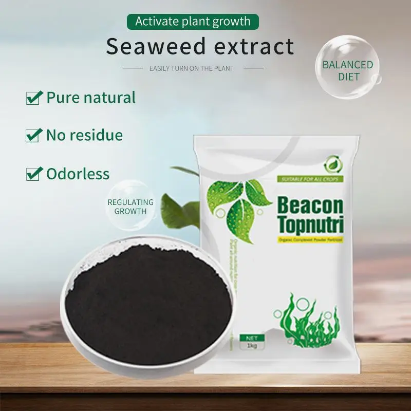  Beacon 1806241-263-5 органические водоросли водорослей excract хлопьевое удобрение органическое как чай Семена торта жидкость летучая мышь