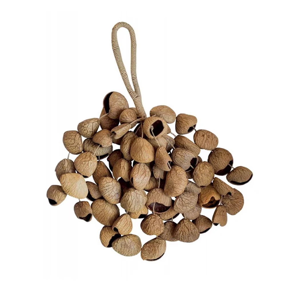 Hand Shaker, Pangi Seed Shell Shaker/Nutshell Percussion ,Authentic Traditional Rattle (Natural)