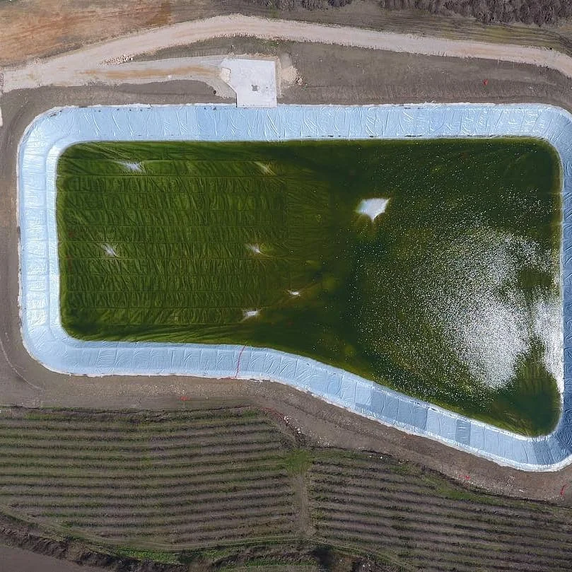 Hdpe Membrane Geomembranas 1Mm 1.5Mm 2Mm Flexible Liner Hdpe Geomembrane Material For Sewage Treatment Pool