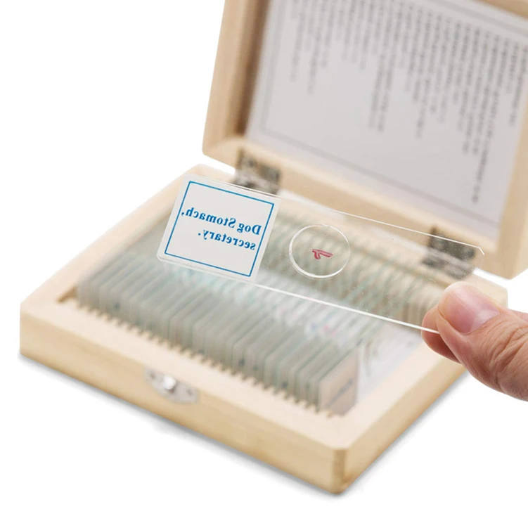 25pcs Hot Sale Mixed Glass Prepared Microscope Slides Set On Plant, Animal, Microbiology