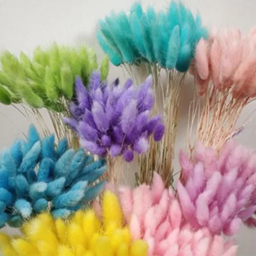 
Wholesale everlasting Real Dried Flower Natural Preserved Lagurus Bouquet 