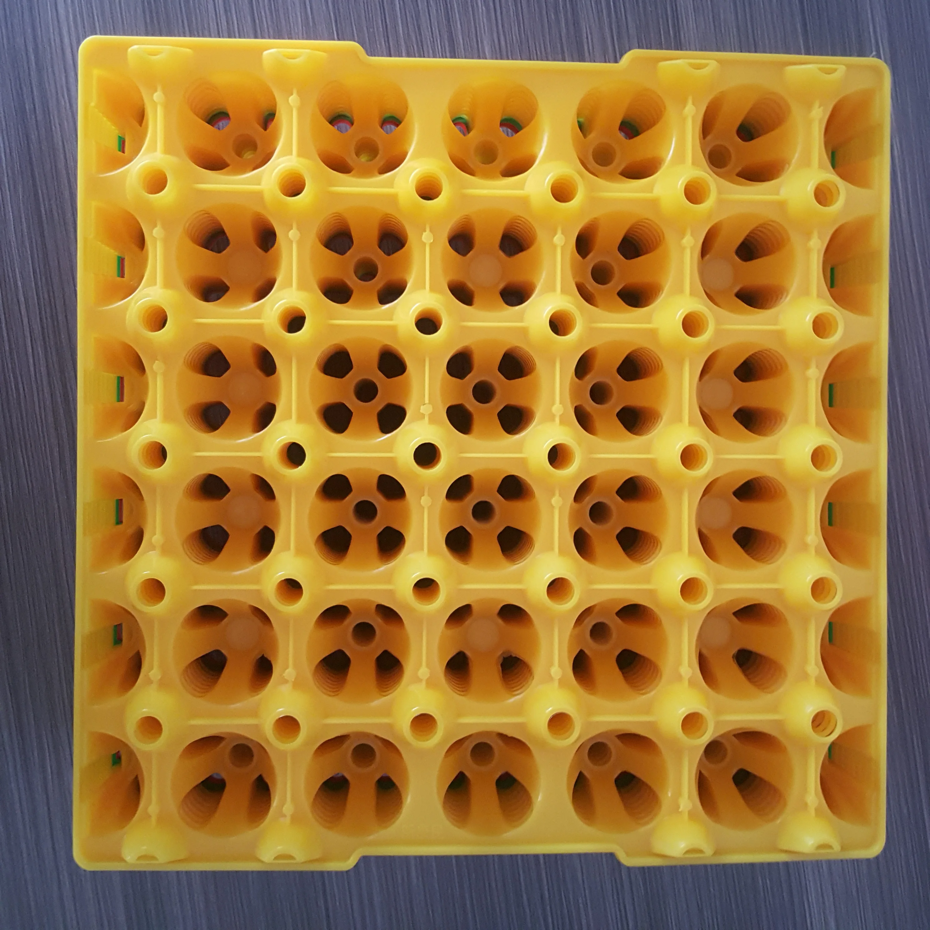 Injection type 30 cavity plastic egg tray / egg form for egg transportation