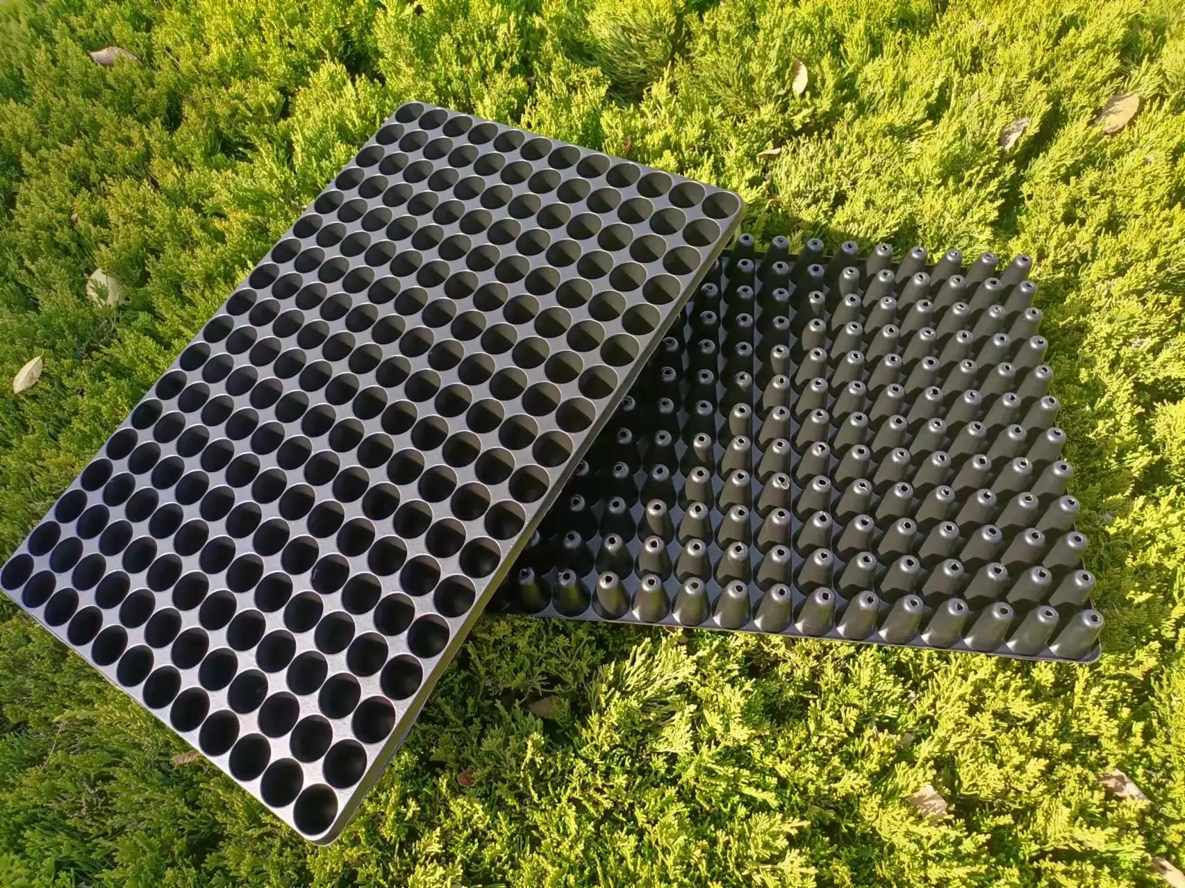 Reinforced nursery seedling tray germination grow seed nursery starter tray 21,32,50,66,72,98,105,128,162 cells nursery tray