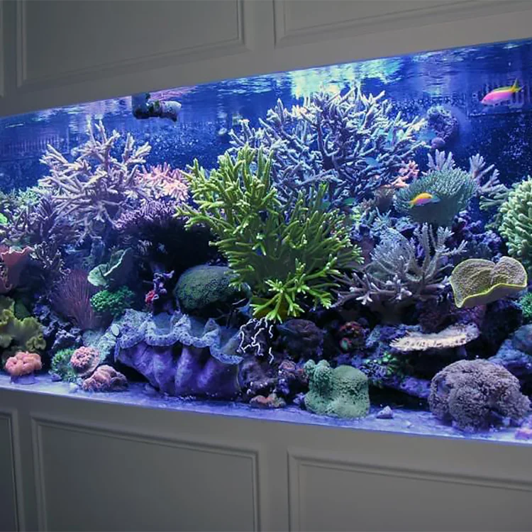 Factory Direct Sale Good Quality Fish Tank Acrylic Curved