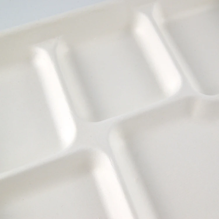 Bagasse 5 Division Tray 5 Compartments Sugarcane Plate 5 Compartment Biodegradable Lunch Tray