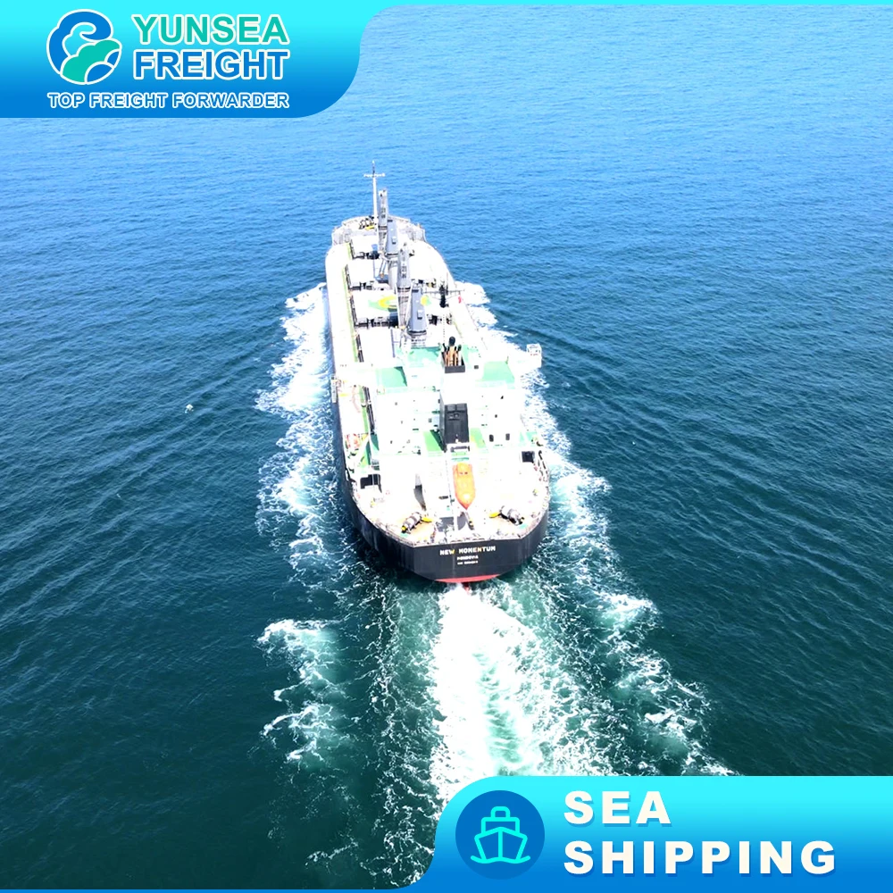 To Berne faster  Cargo DDU DDP Shipping Sea Freight Forwarder Cheapest Charge Rates Ocean Transportation to USA Transit Time