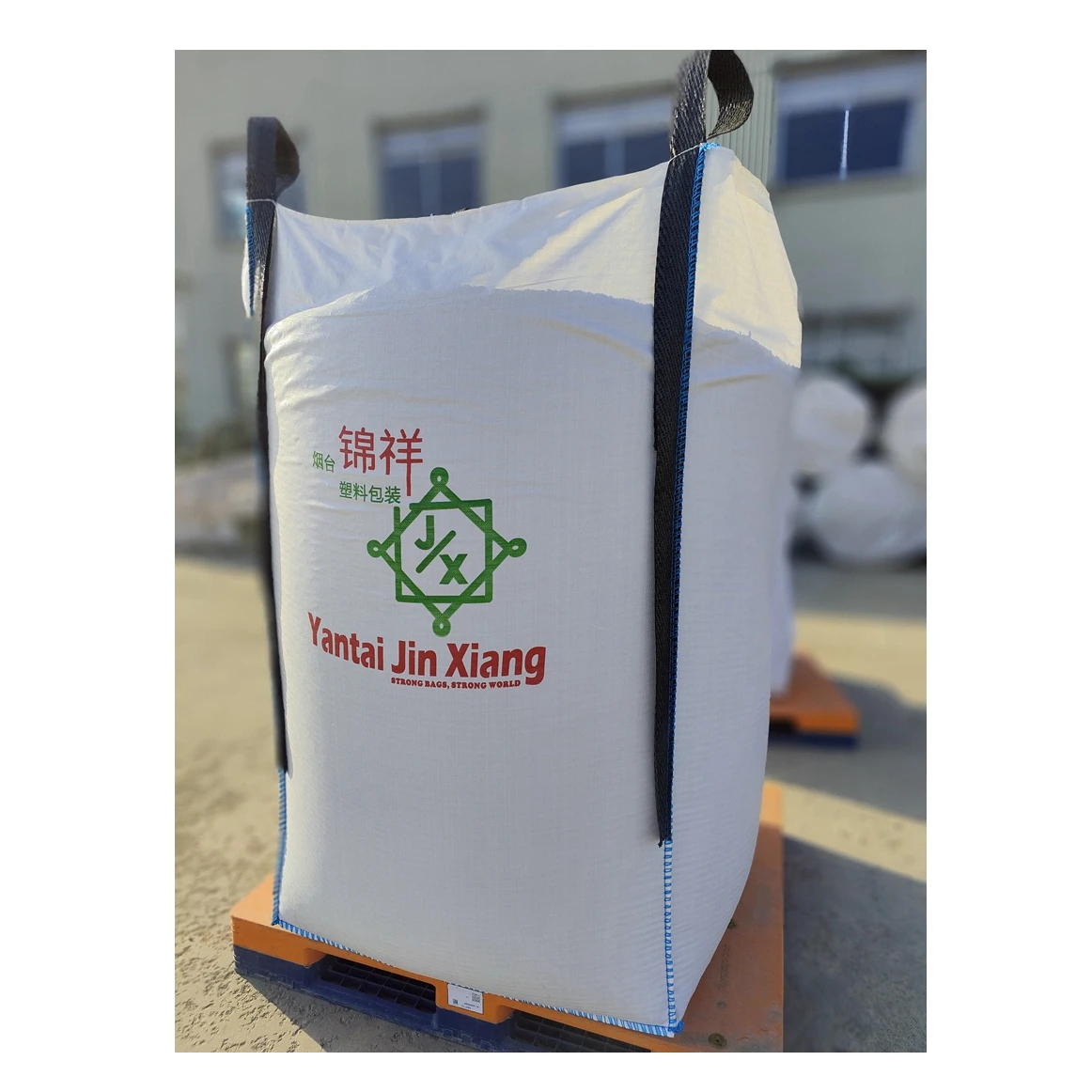 With Spout Bottom Option (Discharge) loop Option (Lifting) Baffle Jumbo Bag