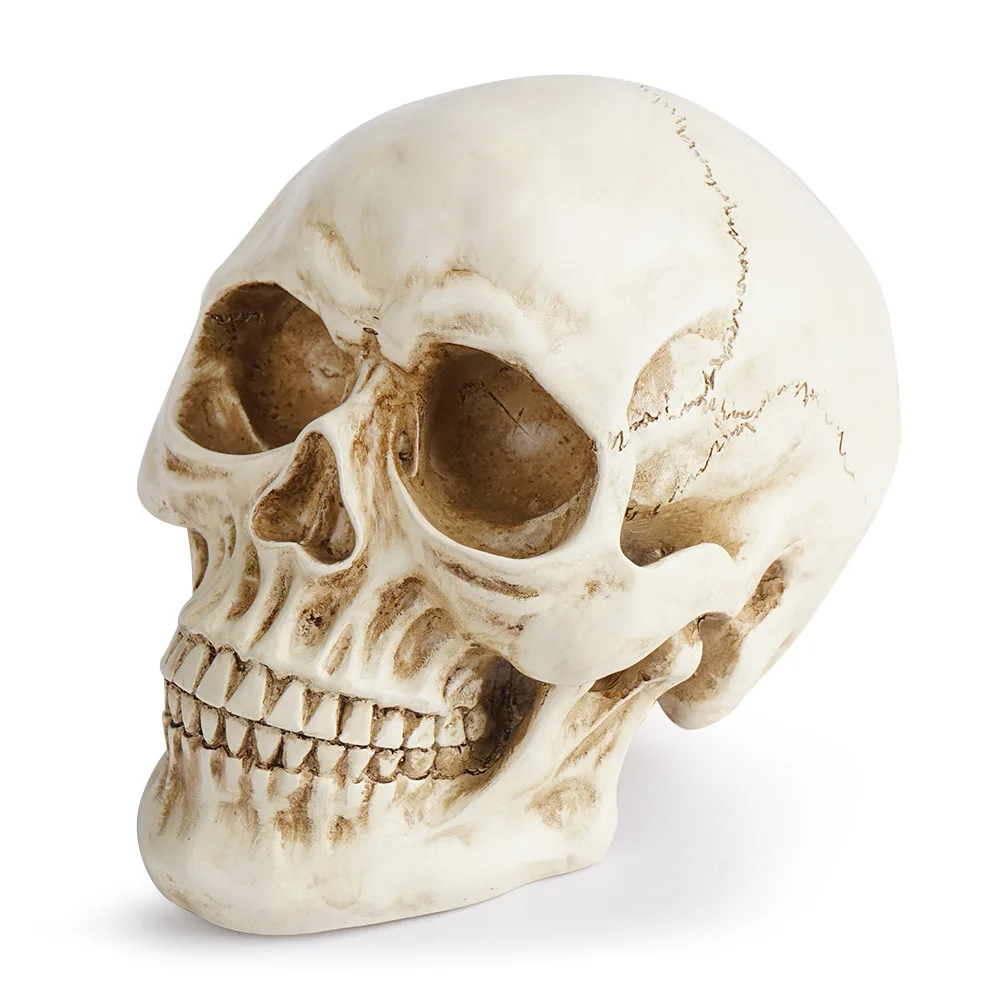 Resin Crafts Skull Model Teaching Aids Skull Animal Skull Halloween Props Fancy Dress Ball