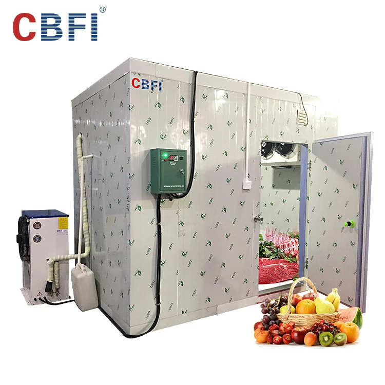 Best price frozen cold room for meat and fish storage