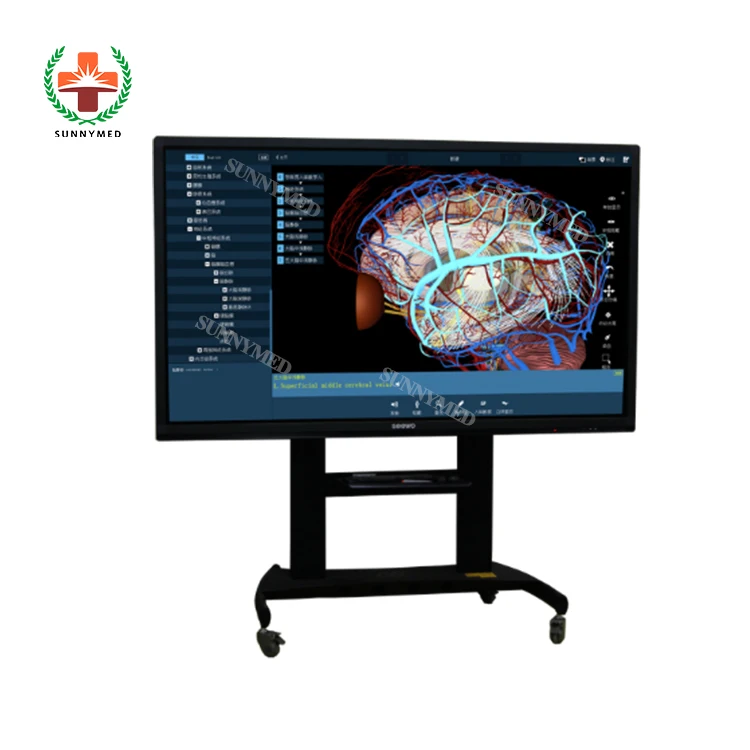SY-YU01 human 3D anatomy virtual system School Digital Human Body Anatomy System