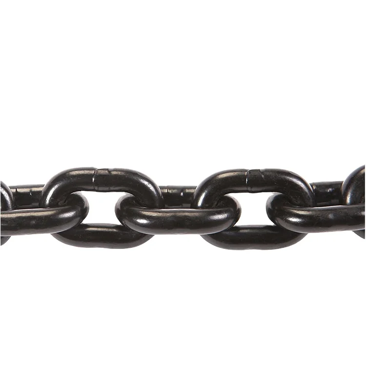 Lifting Chain 4mm Anti Rust Lifting Chain Iron Chain for Hoist