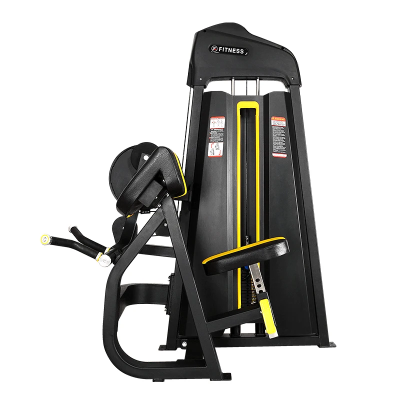 Shandong new design high quality  biceps curl & triceps  commercial gym equipment for sale