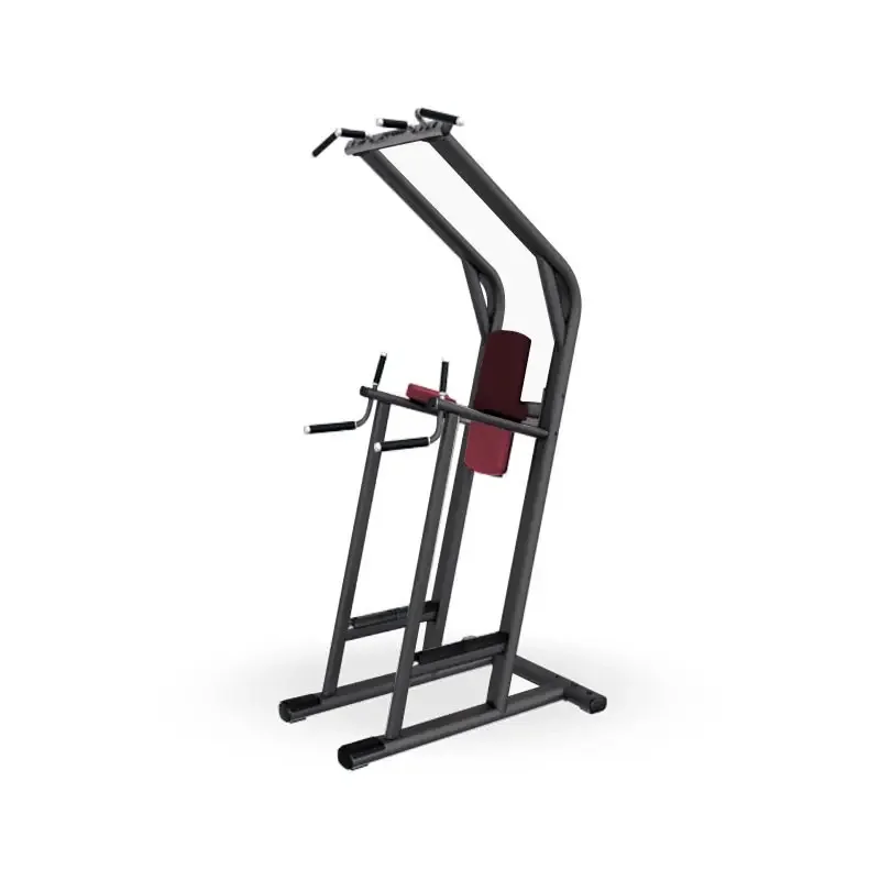 Commercial Gym Equipment Chip dip / Leg raise  Fitness Machine