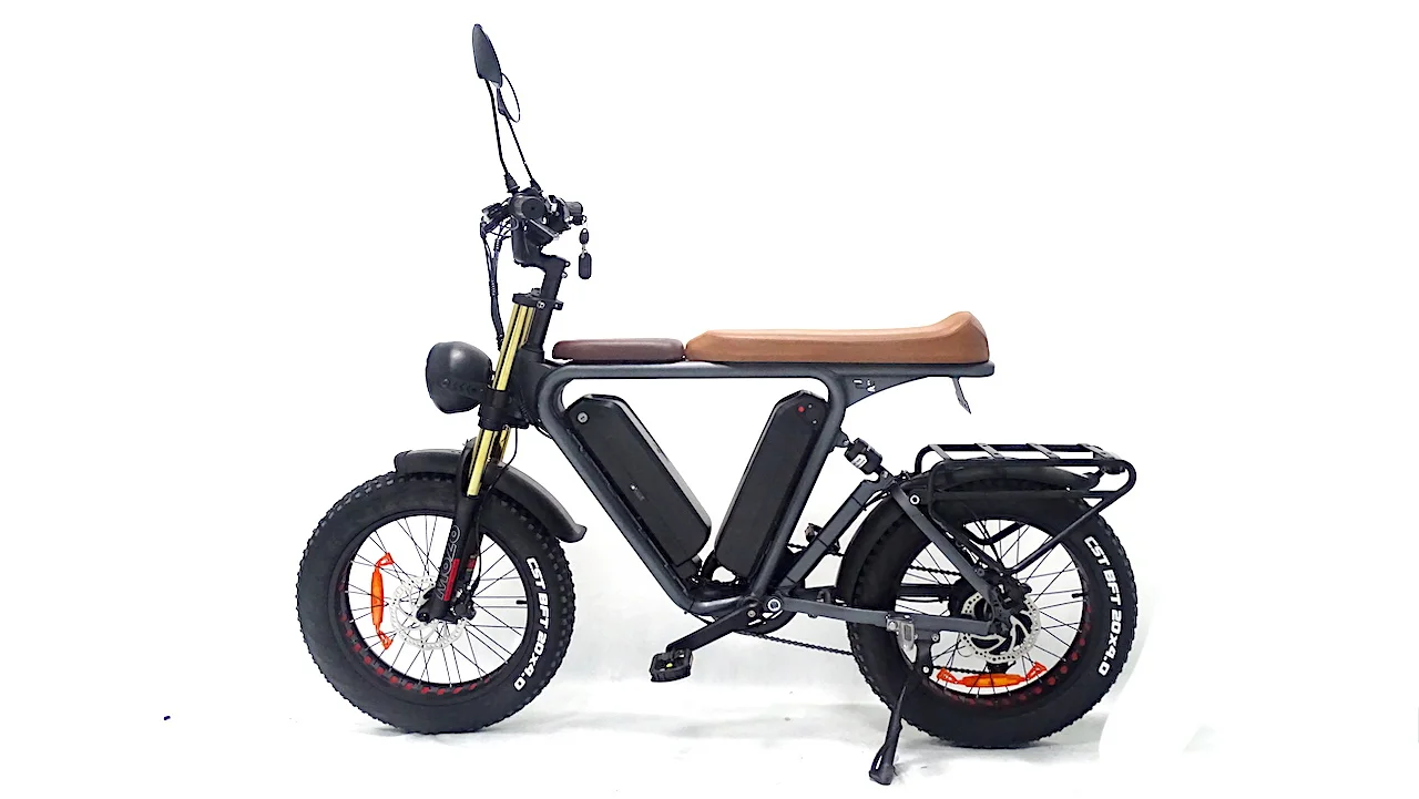 20 inch fat tire bike electric food delivery 1000v 48v 22ah dual lithium batteries cargo ebike  electric cargo bike