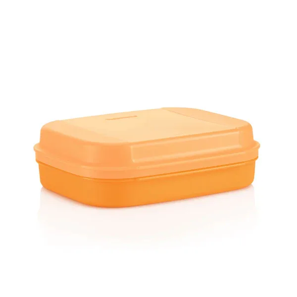 High Quality Multi-Purpose Slim Plastic Lunch Box Modern Design for Organized Food Storage Sale