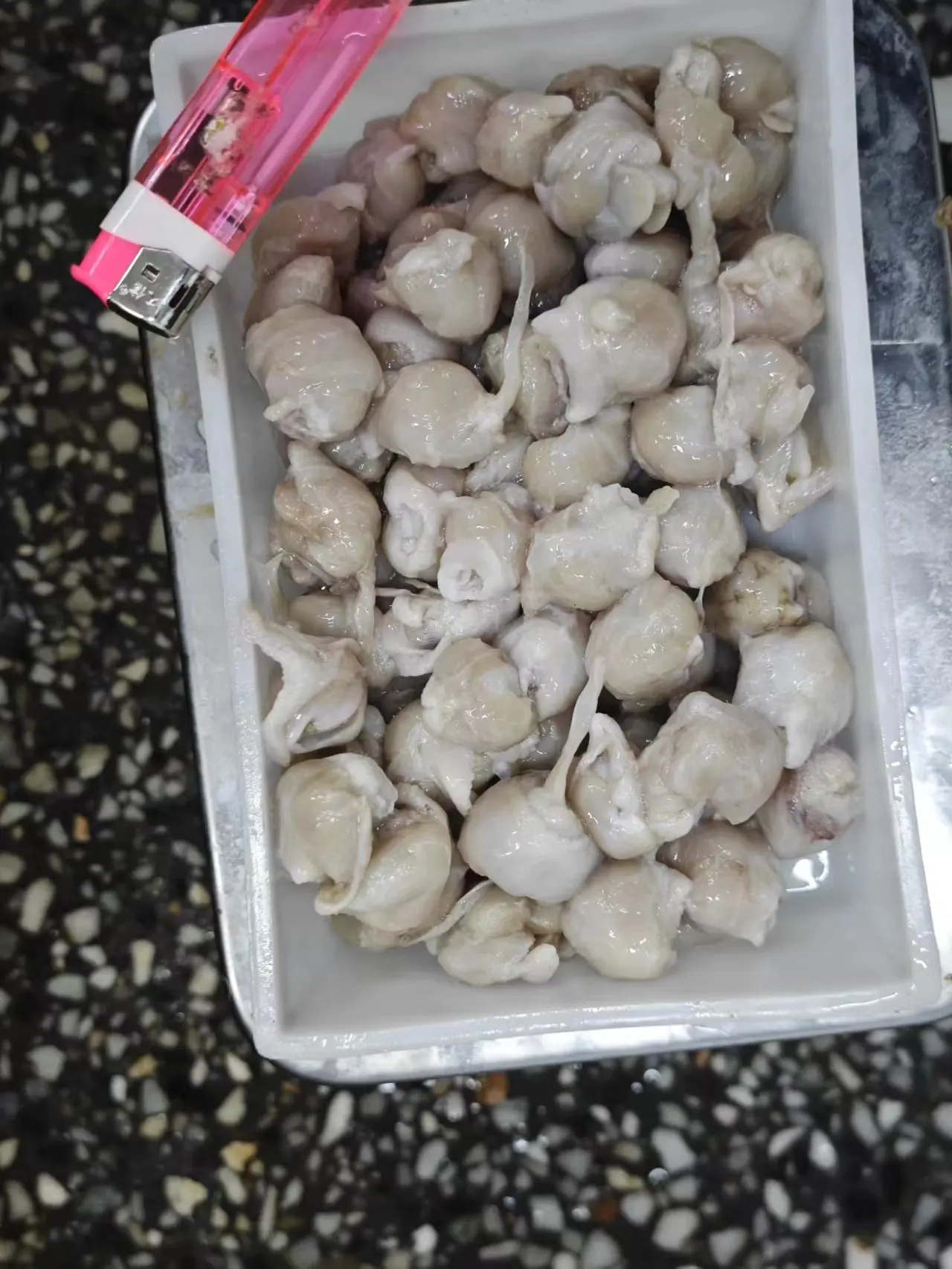 High Quality Frozen Squid Beak 10kg/ctn Seafood Frozen Giant Squid Beak