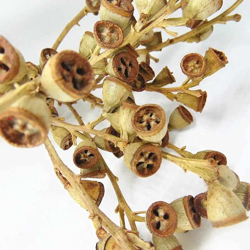 berries wholesale berries flower bouquet for wedding table centerpieces Eucalyptus fruit