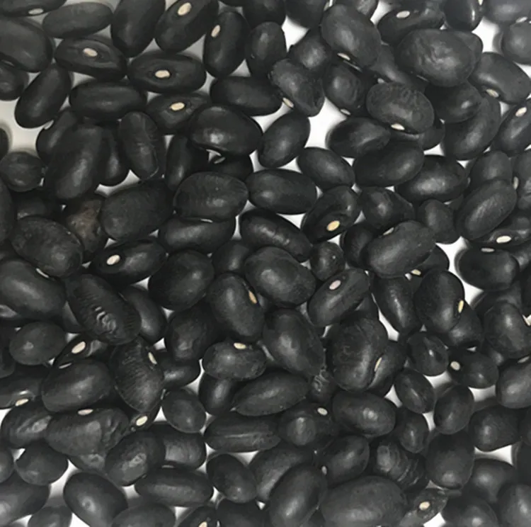 
Chinese organic black kidney bean black bean price 