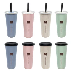 Wheat Straw Water Cup with Straw Wholesale Eco Friendly Big Size 450ml Water Bottles Creative Water Mug Plastic Outdoor Travel