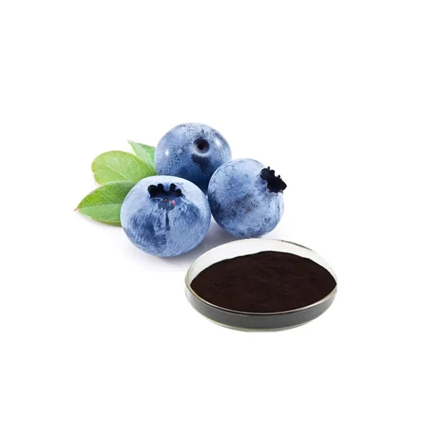 Factory supply Freeze Dried Blueberry Powder Blueberry Extract proanthoyanidins