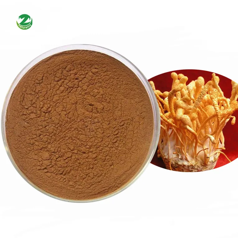 Factory Supply High Quality Pure Natural Cordyceps Militaris Extract Cordyceps Militaris Powder Triterpene 3% 10%