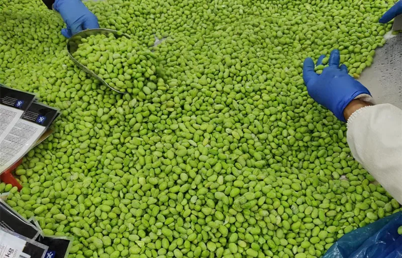 IQF Frozen Edamame Beans - Tender Green Soybeans for Healthy Snacking and Japanese Cuisine
