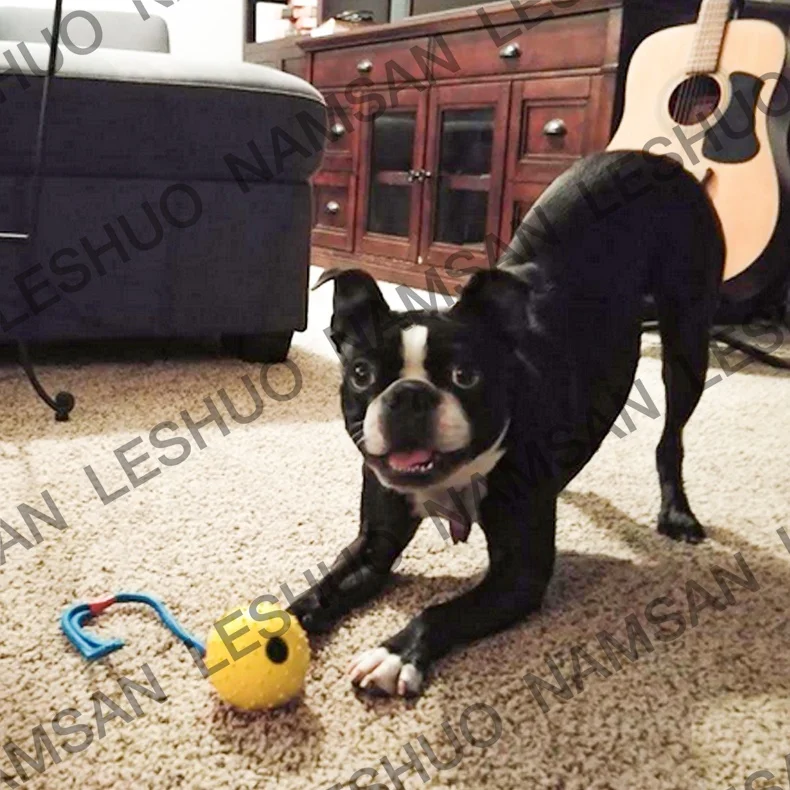 Pet Toys Ball  Interactive Rubber Ball Dog Toy for Training  Reward Toy Dog Chew Ball Tooth Clean Rope