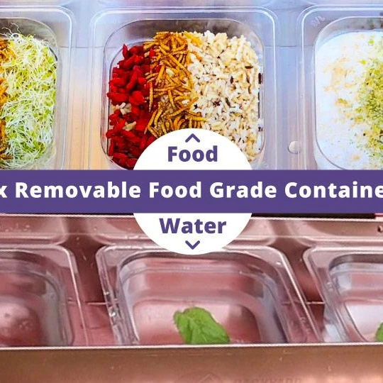 Large capacity automatic feeder water drinker