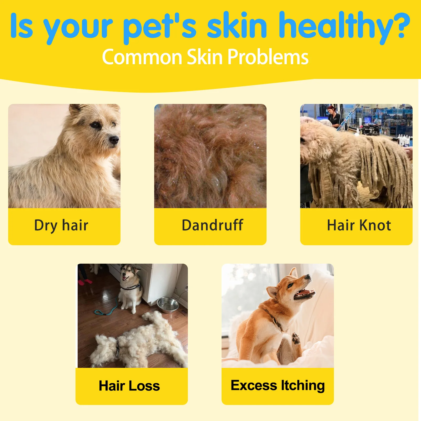 Оптовая продажа 120 мягкое жевание лососевого масла Добавка Омега-3 кожа и шерсть для собак облегчение аллергии на зуд