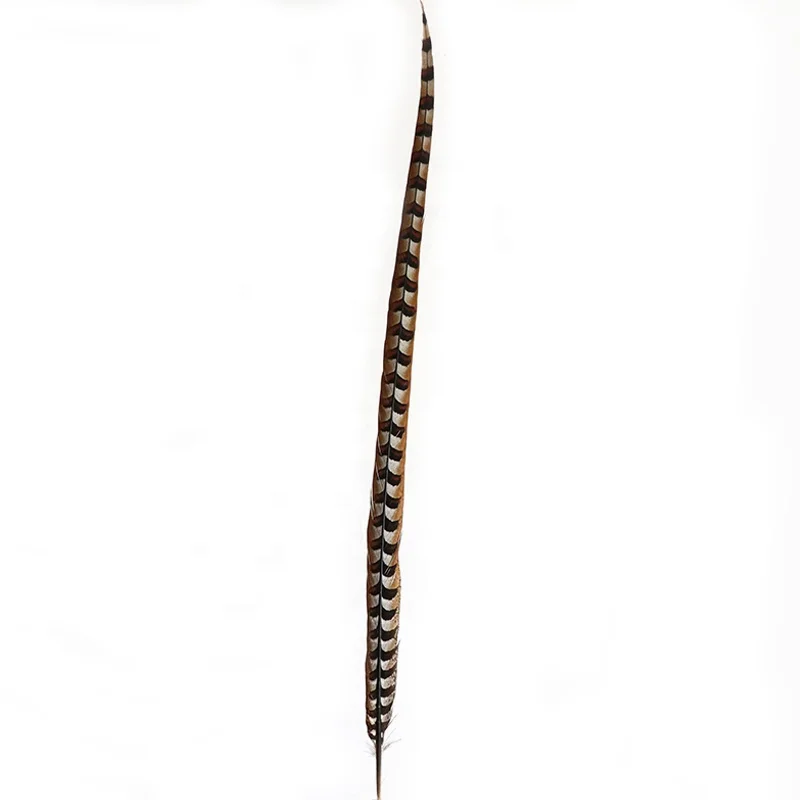 Wholesale Stock Selected Top Quality 20-150 cm Natural Long Ringneck Reeves Pheasant Tail Feathers large plumas